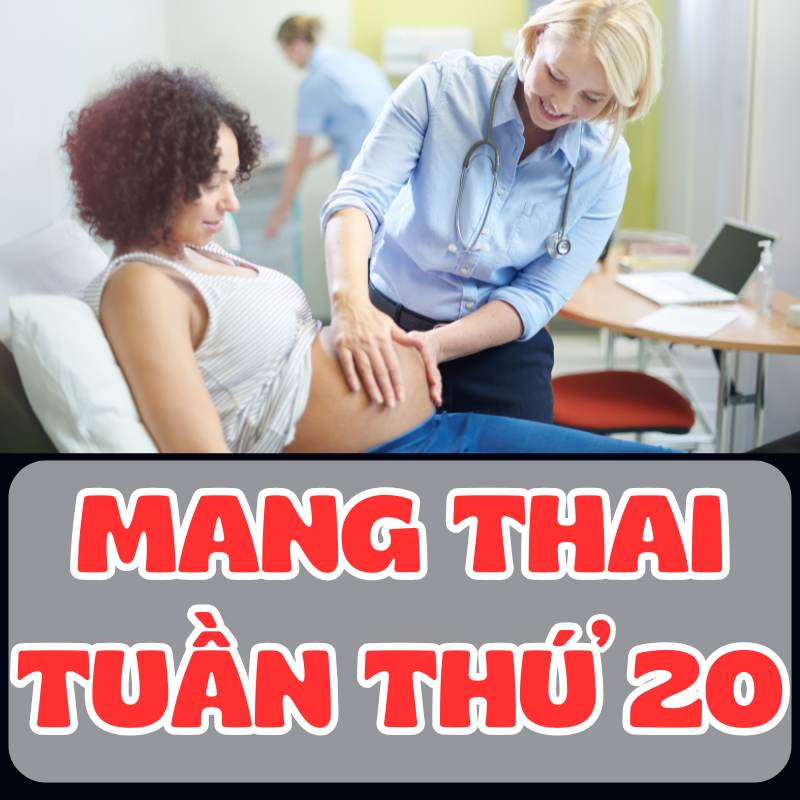 Mẹ bầu khám thai tuần thứ 20